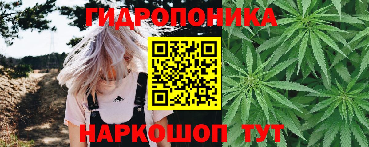 Канабис семена Альметьевск